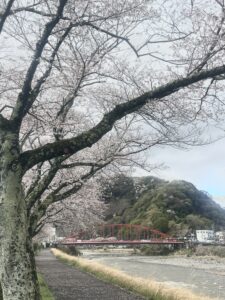 P〜シリーズ【終活イベント】